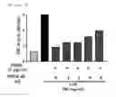 Fig. 06 - COMPOSITION FOR PREVENTING OR TREATING SEPSIS OR SEPTIC SHOCK COMPRISING ADK PROTEIN AS ACTIVE INGREDIENT