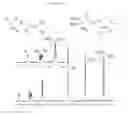 Fig. 07 - Process for the preparation of hyperpolarized carboxylate compounds