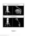Fig. 02 - Products comprising an extracellular matrix tissue material and osteogenic protein