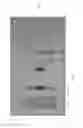 Fig. 07 - ORGANIZATIONAL SYSTEM AND METHODS FOR MEDICATION SYRINGES