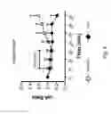 Fig. 09 - Method and system for the administration of a pulmonary surfactant by atomization