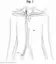 Fig. 02 - Central venous access system