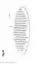 Fig. 35 - Applicator