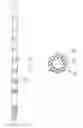 Fig. 03 - Medical leads with segmented electrodes and methods of fabrication thereof