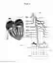 Fig. 06 - Methods and apparatus to stimulate the heart