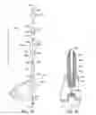 Fig. 26 - Interchangeable shaft system