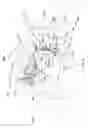 Fig. 02 - Vehicle body frame structure of straddle-type vehicle