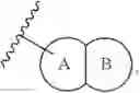 Fig. 19 - GDF-8 inhibitors
