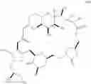 Fig. 320 - Macrocyclization reactions and intermediates useful in the synthesis of analogs of halichondrin B