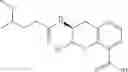 Fig. 331 - Beta-lactamase inhibitors