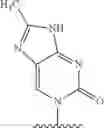 Fig. 1069 - POLYNUCLEOTIDE MOLECULES AND USES THEREOF