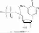 Fig. 167 - POLYNUCLEOTIDE MOLECULES AND USES THEREOF