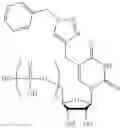 Fig. 320 - POLYNUCLEOTIDE MOLECULES AND USES THEREOF