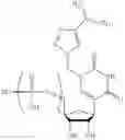 Fig. 366 - POLYNUCLEOTIDE MOLECULES AND USES THEREOF
