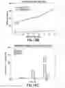 Fig. 20 - Consumable cryopreserved cells transiently overexpressing gene(s) encoding drug transporter protein(s) and/or drug metabolizing enzyme(s)