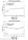 Fig. 22 - Consumable cryopreserved cells transiently overexpressing gene(s) encoding drug transporter protein(s) and/or drug metabolizing enzyme(s)