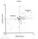 Fig. 06 - CTLA4-Ig immunoadhesins