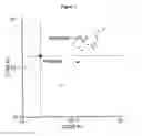 Fig. 07 - CTLA4-Ig immunoadhesins