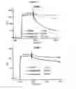 Fig. 08 - CTLA4-Ig immunoadhesins