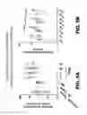 Fig. 09 - Modulators and methods of use