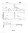 Fig. 02 - TEM8 antibodies and their use in treatment and detection of tumors