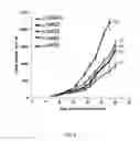 Fig. 07 - TEM8 antibodies and their use in treatment and detection of tumors