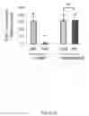 Fig. 07 - MIC-BINDING ANTIBODIES AND METHODS OF USE THEREOF