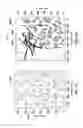 Fig. 16 - MODELING OF INTERACTION OF HYDRAULIC FRACTURES IN COMPLEX FRACTURE NETWORKS