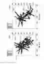 Fig. 17 - MODELING OF INTERACTION OF HYDRAULIC FRACTURES IN COMPLEX FRACTURE NETWORKS