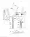 Fig. 01 - Hydraulic control device for automatic transmission