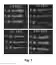 Fig. 02 - Fluorescent Dye Additive for Functional Fluids