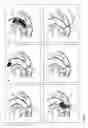 Fig. 02 - Method for diagnosing inflammatory bowel disease