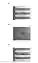Fig. 02 - Positive photosensitive resin composition, method for producing film using same, and electronic component