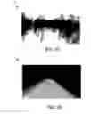 Fig. 05 - Detecting roadway objects in real-time images