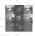 Fig. 04 - Systems and method for computation and visualization of segmentation uncertainty in medical images