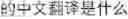 Fig. 65 - Speech recognition using a foreign word grammar