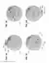 Fig. 02 - Ring constellations for decreased data latency and increased download rates