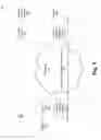 Fig. 02 - Concealed datagram-based tunnel for real-time communications