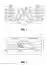 Fig. 02 - Enhanced large data transmissions and catastrophic congestion avoidance over IPv6 TCP/IP networks
