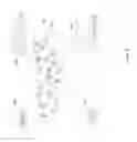 Fig. 07 - Allow hidden and silent observers in a group conversation