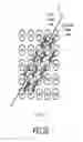 Fig. 41 - Pixel interpolation apparatus, imaging apparatus, pixel interpolation processing method, and integrated circuit
