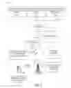 Fig. 06 - Remote viewing of multimedia content