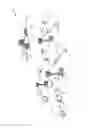 Fig. 02 - Methods for backhaul operations in millimeter wave networks