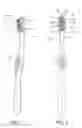Fig. 02 - Oral care implement