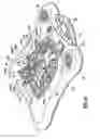 Fig. 09 - Infant care apparatus
