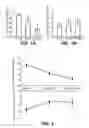 Fig. 02 - Periodontal disease detection system and method