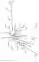 Fig. 01 - Multiple spinal surgical pathways systems and methods