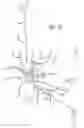 Fig. 07 - Multiple spinal surgical pathways systems and methods