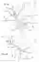 Fig. 35 - Multiple spinal surgical pathways systems and methods
