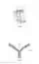 Fig. 02 - Compositions, Devices, Kits and Methods for Attaching Surgical Meshes to Tissue